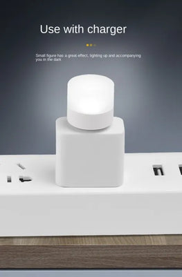 Portable USB Light for Room Mini USB Led Night Light Bulb Multipurpose USB Lighting Bulb - Each