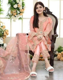 KANWAL Fancy Organza 3Pc