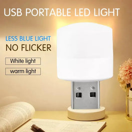 Portable USB Light for Room Mini USB Led Night Light Bulb Multipurpose USB Lighting Bulb (random light color)